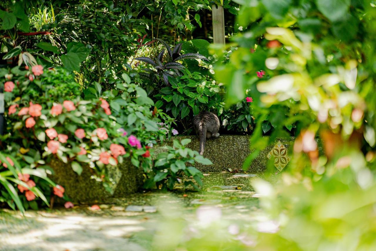 Olive Tree Village Guesthouse หนานจวง ภายนอก รูปภาพ